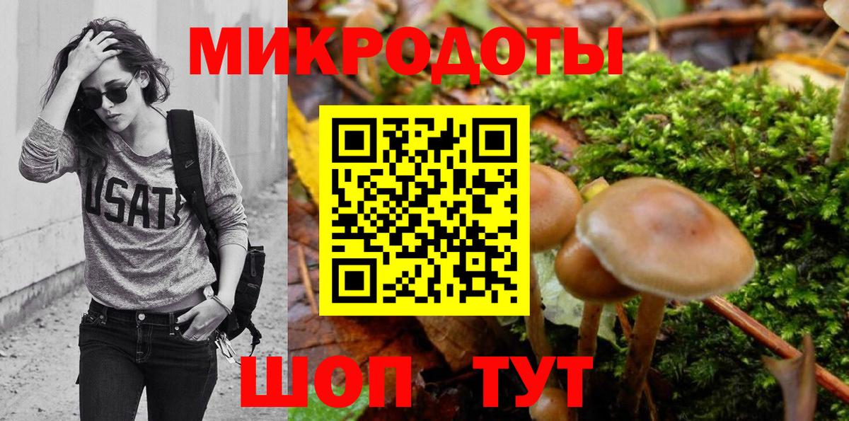Псилоцибиновые грибы Psilocybe  где купить наркоту  Казань  Вход с VPN 