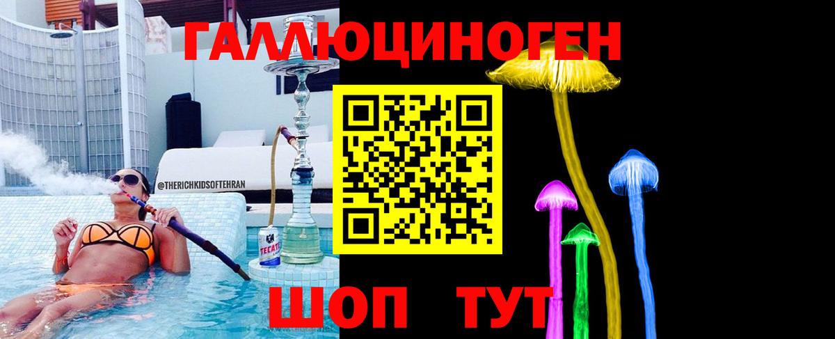 Псилоцибиновые грибы Cubensis Казань